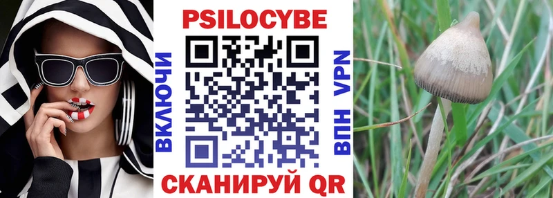 Псилоцибиновые грибы прущие грибы Купить закладки Нарьян-Мар